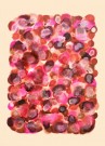 Rosa thumbnail