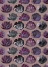 Rosa thumbnail