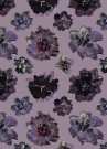 Lilla thumbnail