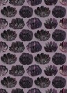 Lilla thumbnail