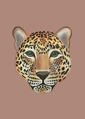 Panthera Pardus