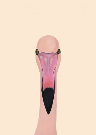 Flamingo Single