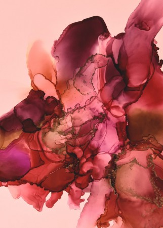 Abundance